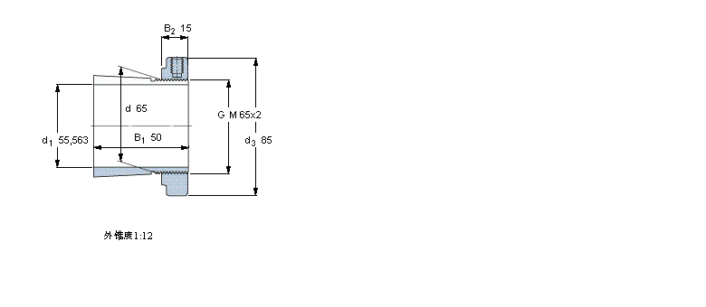 SKF ӢSľoHA313ӱD