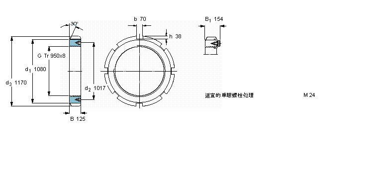 SKF ioAHM(E)iĸHM30/950ӱD