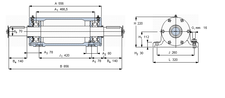 SKF pSІԪ, PDNBԪPDNB216ӱD